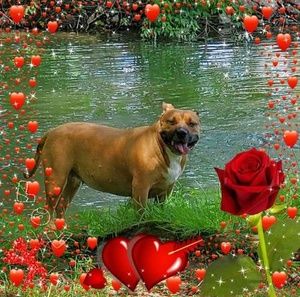 Meet your Posher, Bonnie